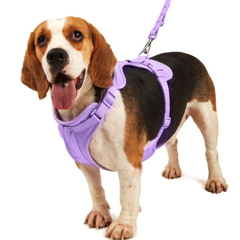 combo arnés de perro y accesorios